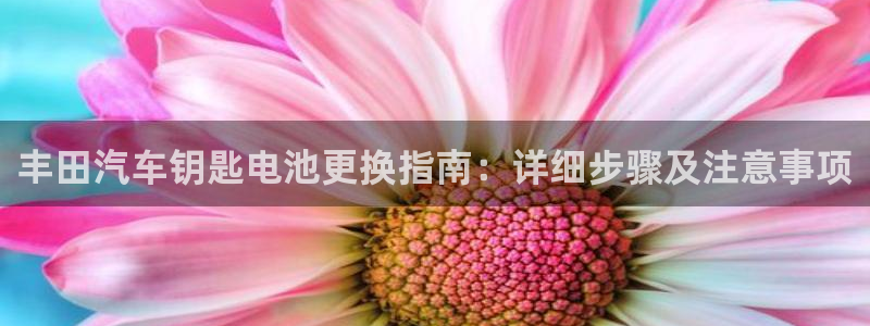 优发国际的官网是什么