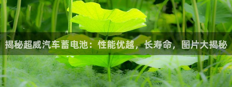 优发国际不出款了吗