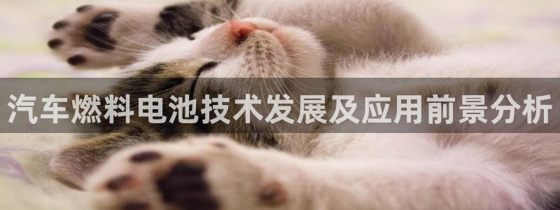 优发国际是合法的吗安全吗