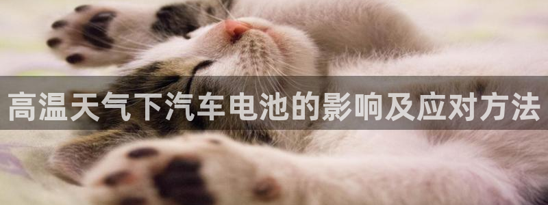 优发国际手机版网站下载