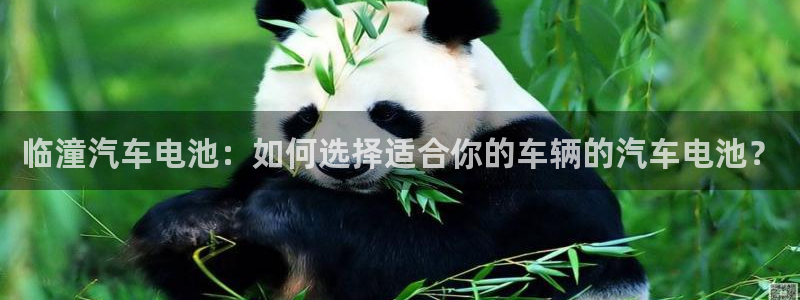 优发娱乐pc版官网