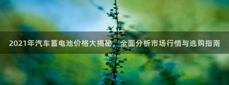 优发国际手机版下载