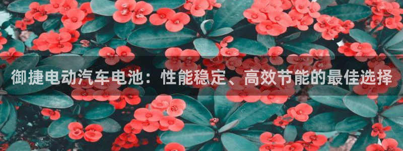 优发国际官方网平台