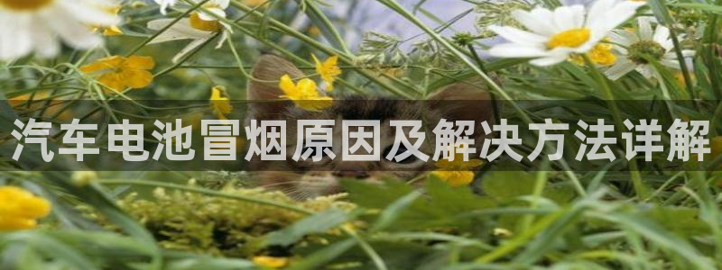 优发国际一触即发登陆