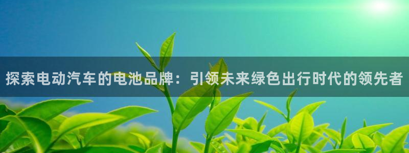 优发国际多少钱