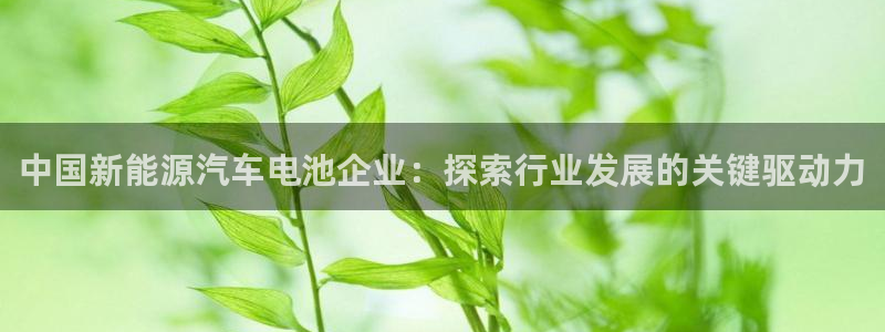 优发国际客服联系方式是什么
