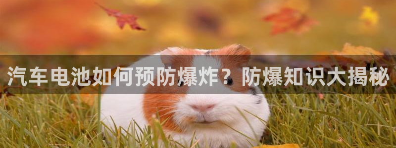 优发国际登陆