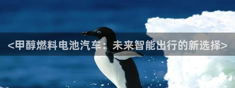 优发国际集团股份有限公司
