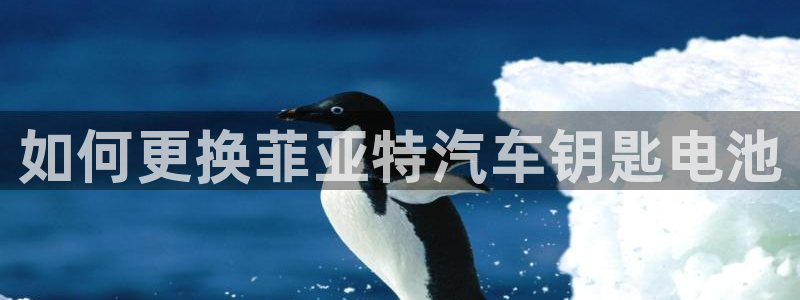 优发国际官网,首页
