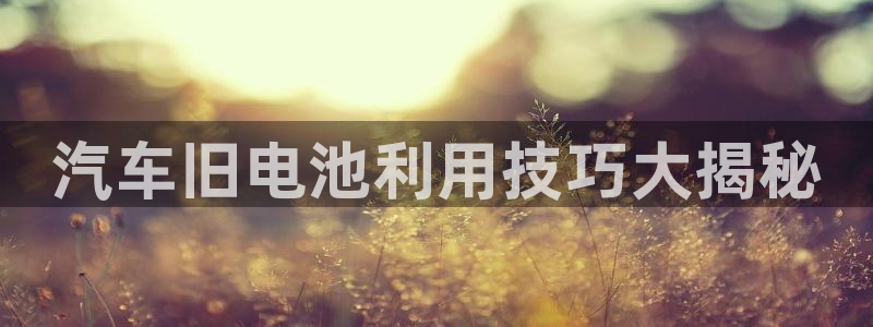 优发国际app官网下载安装手机版