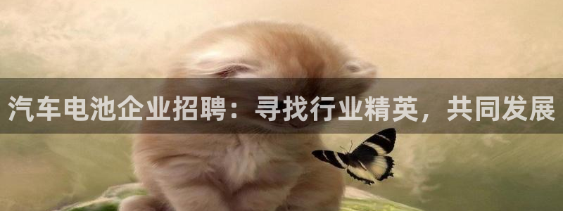 优发国际的网站是