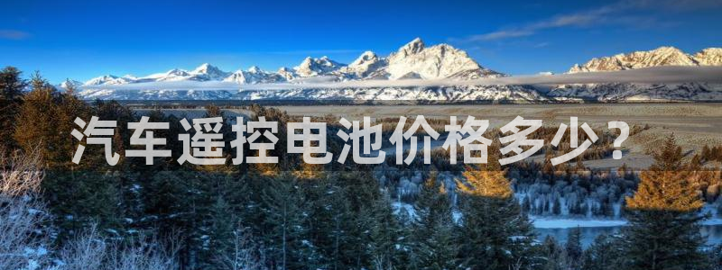 优发国际平台手机版下载安装