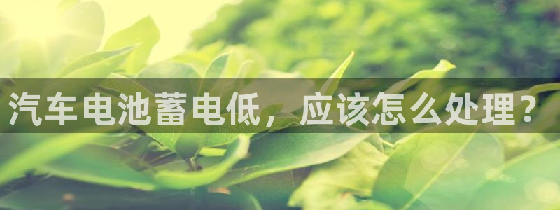 优发国际手机版下载安装