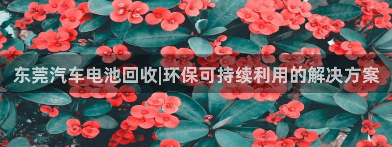 优发国际网官网17w8
