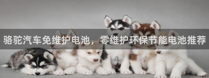 优发国际官网入口app下载
