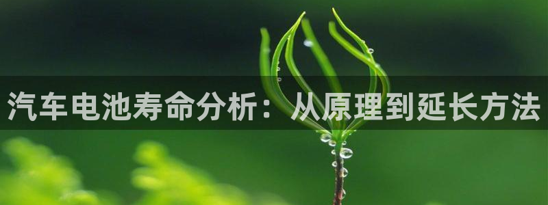 优发国际官方网手机版下载苹果