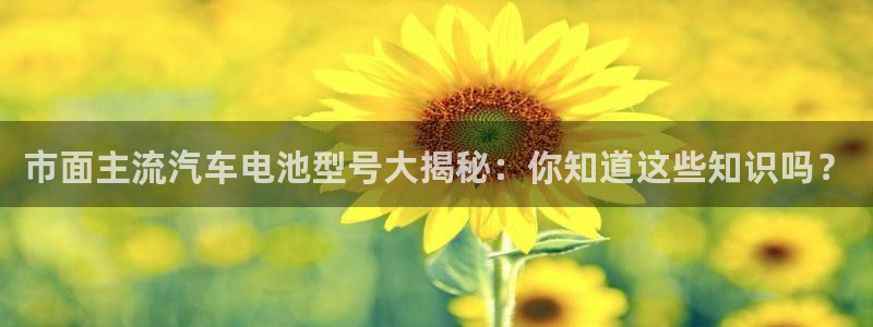 优发国际youfa