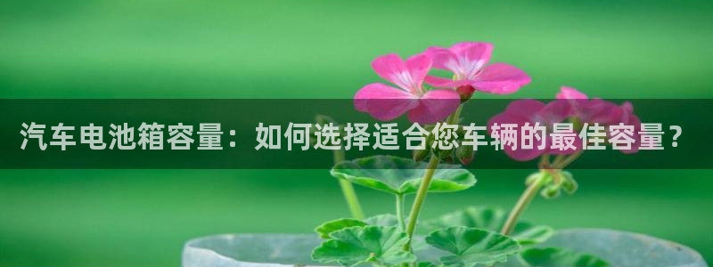 优发国际是什么