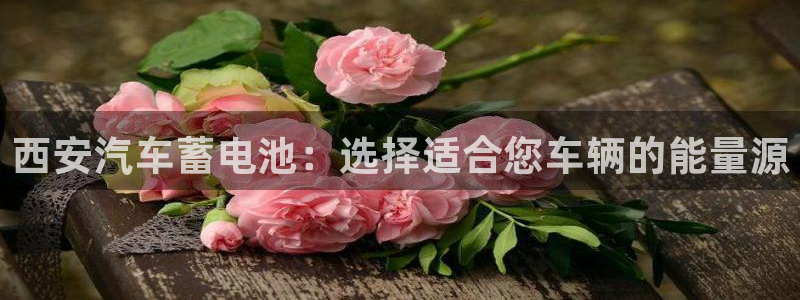 优发国际手机app下载安装最新版