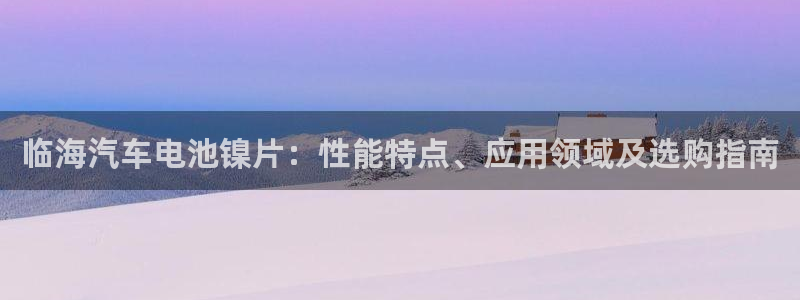 优发国际手机版：临海汽车电池镍片：性能特点、应用领域及选购指南