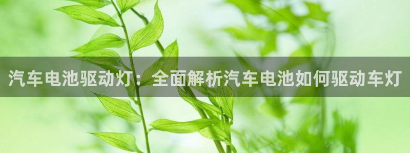 优发国际集团股份有限公司官网
