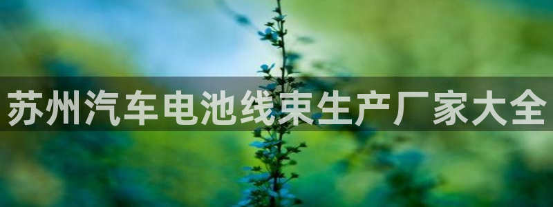 优发国际官网下载安装