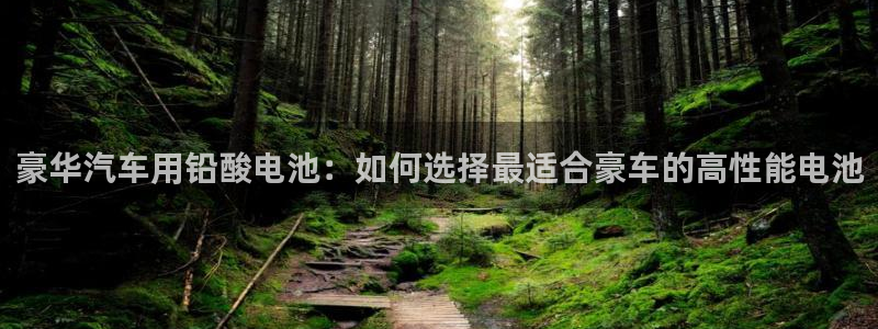优发国际官方网手机版