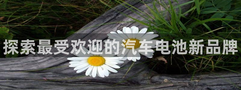 优发国际安卓版下载安装教程