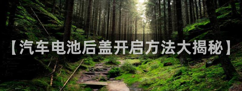 优发国际手机app下载安装苹果
