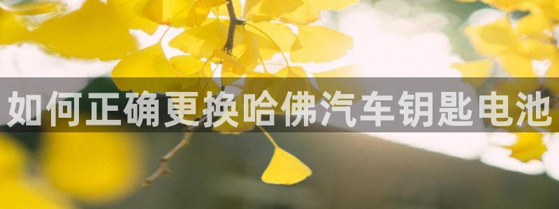 优发国际游戏官网
