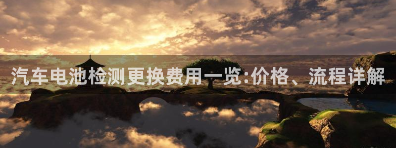 优发国际官网是多少号码：汽车电池检测更换费用一览:价格、流程详解