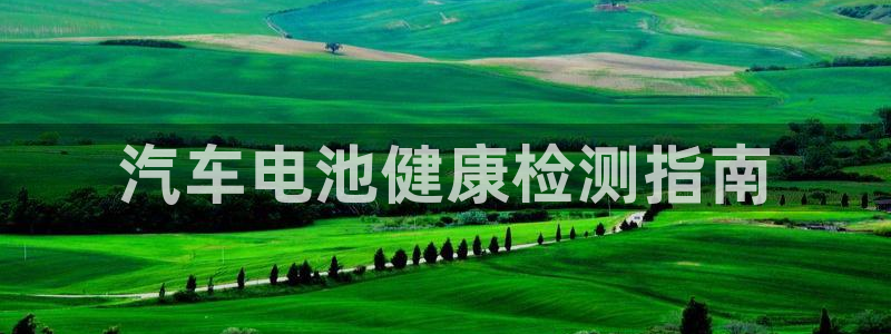 优发国际这个平台怎么样知乎：汽车电池健康检测指南