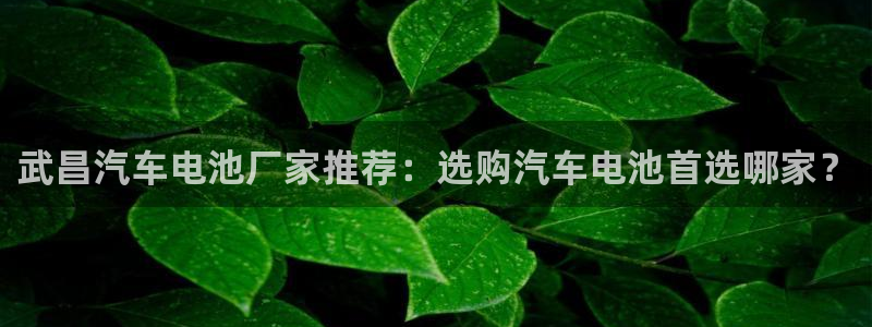 优发国际手机版