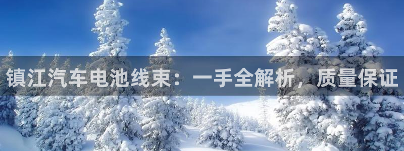 优发国际网官