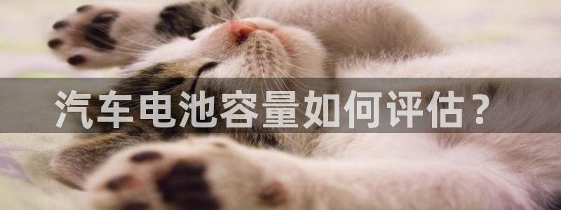 优发国际集团股份有限公司招聘