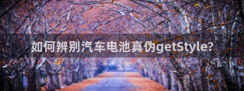 优发国际bob