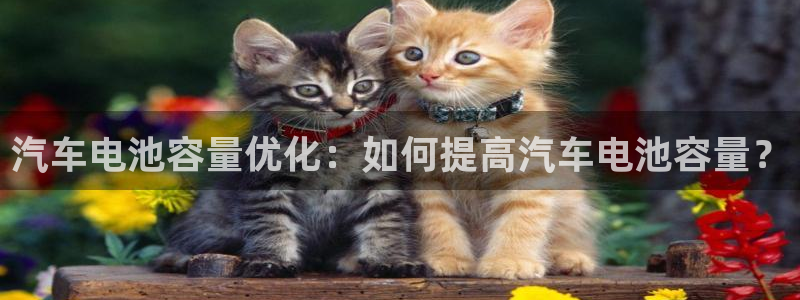 优发国际手机版客户端下载安装