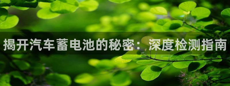 优发国际首页首页y6