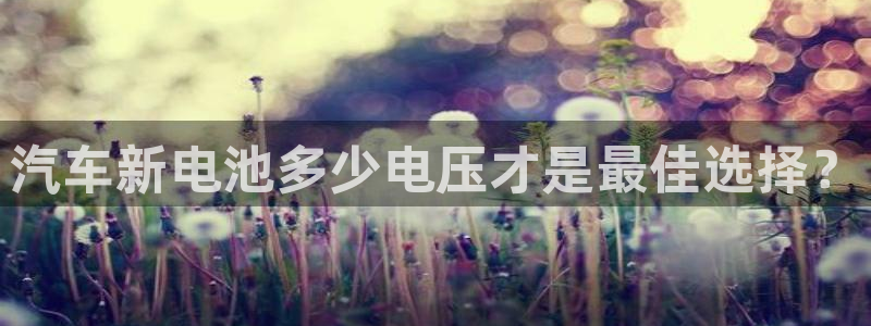 优发国际的网站是