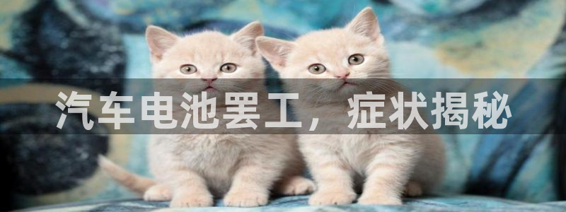 优发国际平台u8是什么