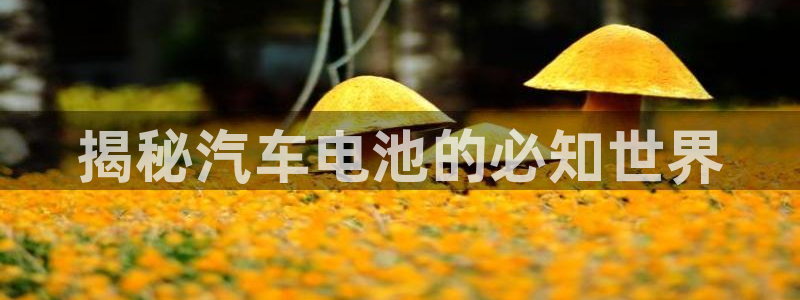 优发国际平台手机版下载安装