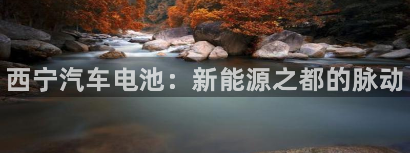 优发国际平台网站