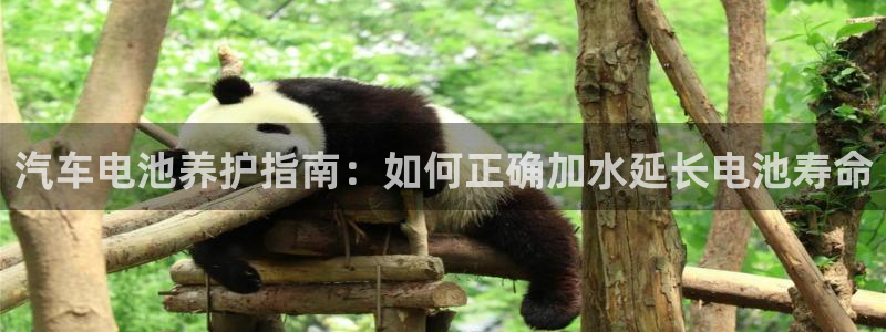 优发国际官网手机版代理