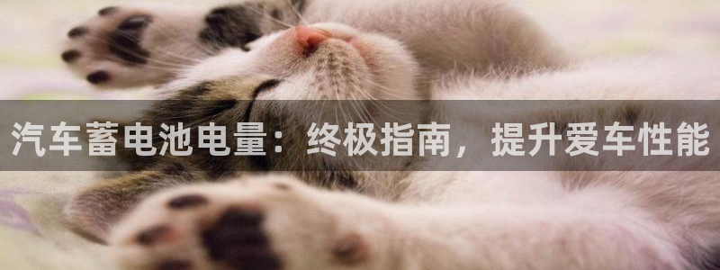 优发国际手机app下载安装苹果
