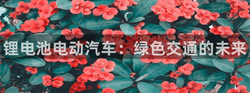 优发国际官网首页入口