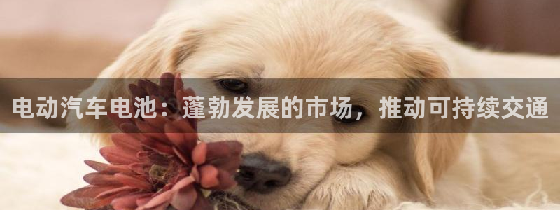 优发国际手机客户端app