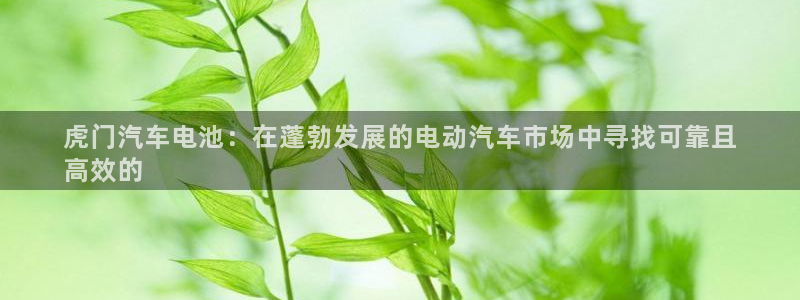 优发国际网站