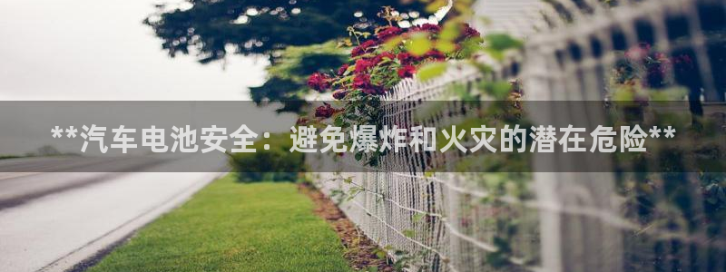 优发国际多少