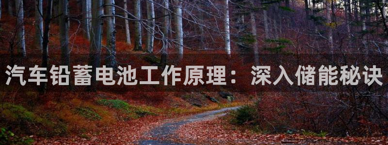 优发国际手机版下载官网