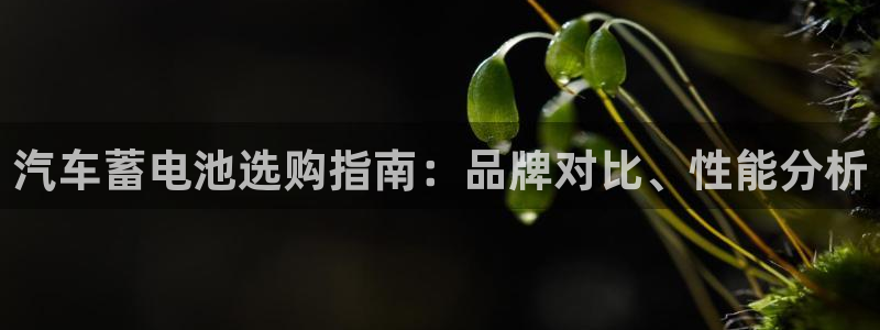 优发娱乐pc版官网